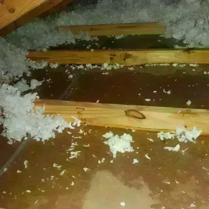 Attic Water Damage in Daviess County, MO